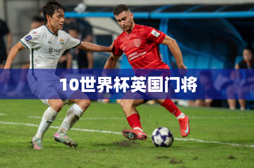 10世界杯英国门将