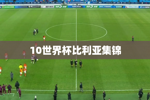 10世界杯比利亚集锦