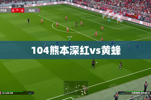104熊本深红vs黄蜂