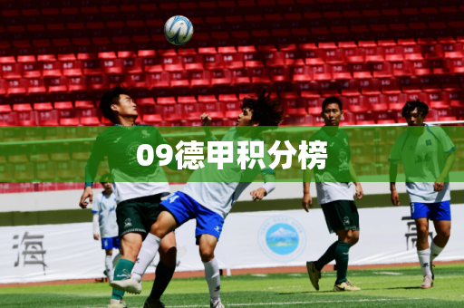 09德甲积分榜 09德甲积分榜