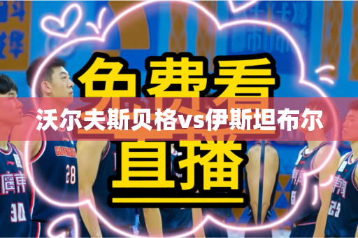沃尔夫斯贝格vs伊斯坦布尔 沃尔夫斯贝格vs伊斯坦布尔