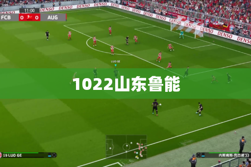 1022山东鲁能