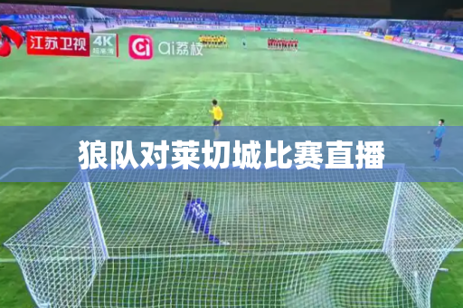狼队对莱切城比赛直播