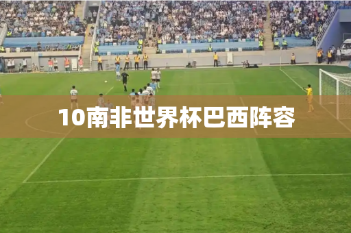 10南非世界杯巴西阵容