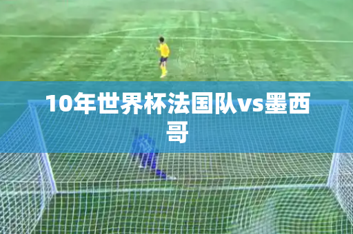 10年世界杯法国队vs墨西哥