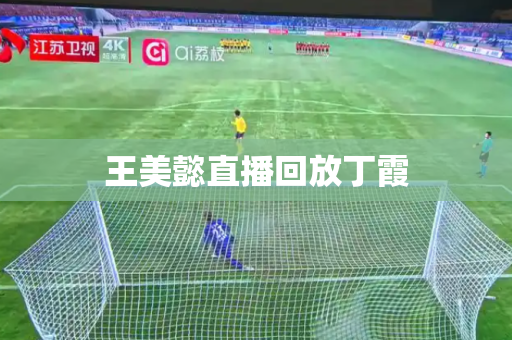 王美懿直播回放丁霞 王美懿直播回放丁霞