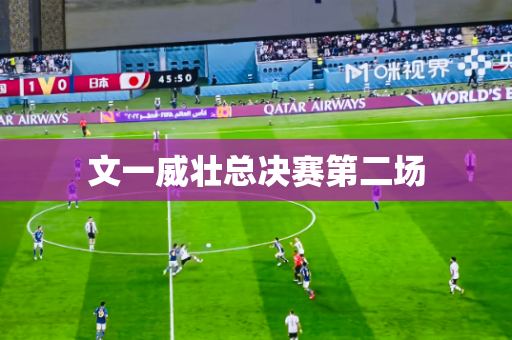 文一威壮总决赛第二场 文一威壮总决赛第二场