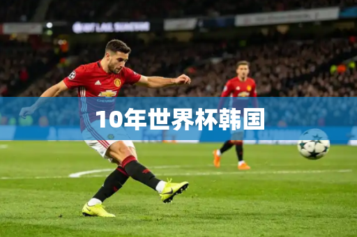 10年世界杯韩国 10年世界杯韩国