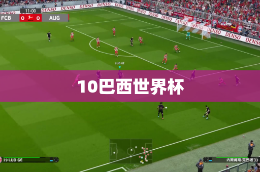 10巴西世界杯