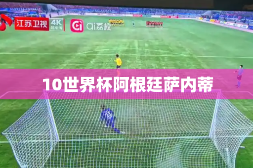10世界杯阿根廷萨内蒂