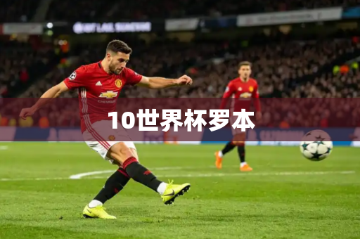 10世界杯罗本