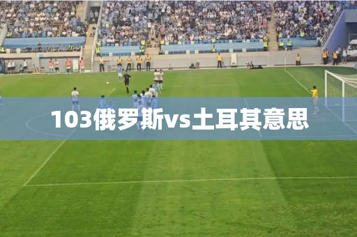 103俄罗斯vs土耳其意思