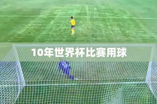 10年世界杯比赛用球