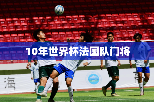 10年世界杯法国队门将