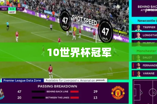 10世界杯冠军