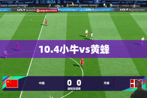 10.4小牛vs黄蜂