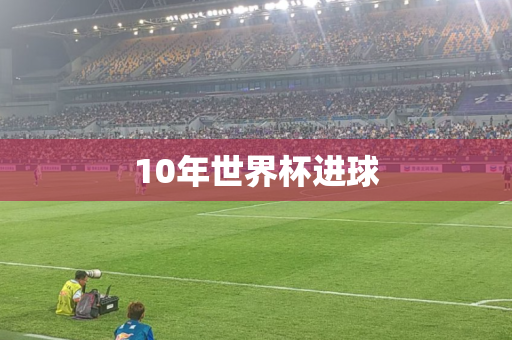 10年世界杯进球