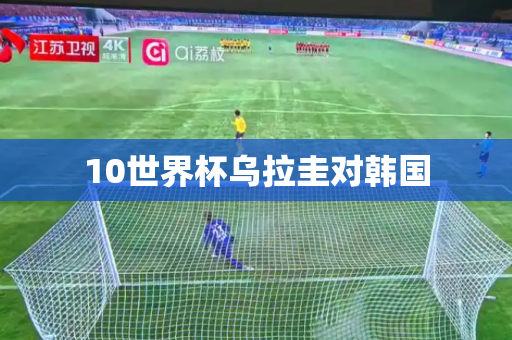 10世界杯乌拉圭对韩国