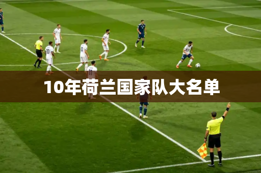 10年荷兰国家队大名单