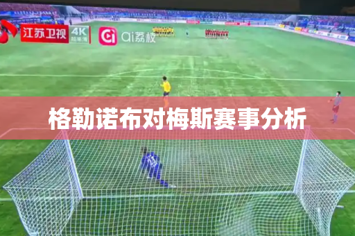格勒诺布对梅斯赛事分析 格勒诺布对梅斯赛事分析