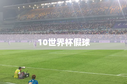 10世界杯假球