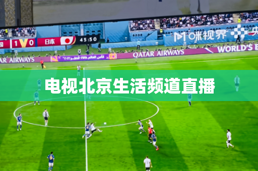 电视北京生活频道直播