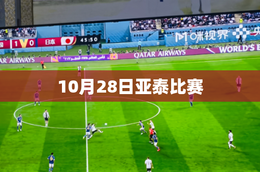 10月28日亚泰比赛