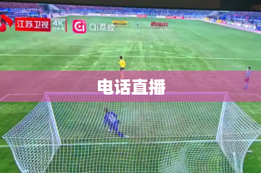 电话直播 电话直播