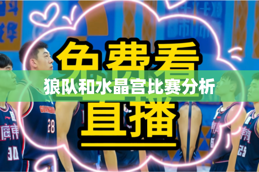 狼队和水晶宫比赛分析