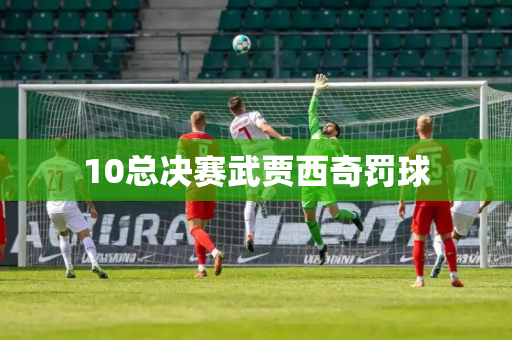10总决赛武贾西奇罚球