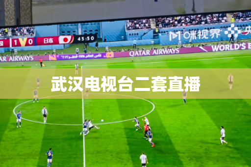 武汉电视台二套直播 武汉电视台二套直播