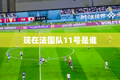 现在法国队11号是谁 现在法国队11号是谁