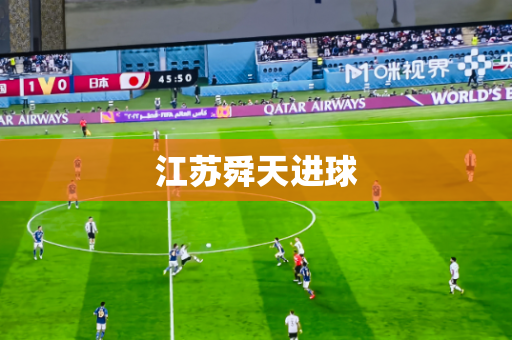 江苏舜天进球 江苏舜天进球