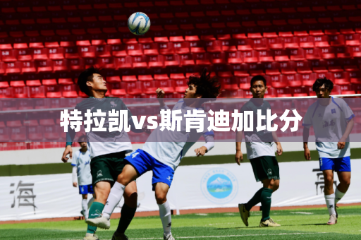 特拉凯vs斯肯迪加比分