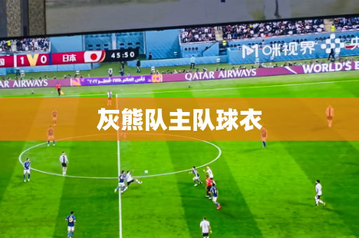 灰熊队主队球衣