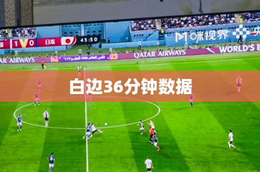 白边36分钟数据