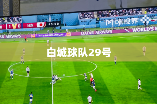 白城球队29号 白城球队29号