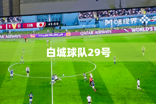 白城球队29号 白城球队29号