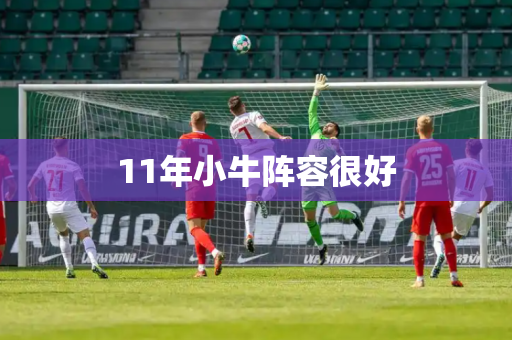 11年小牛阵容很好 11年小牛阵容很好