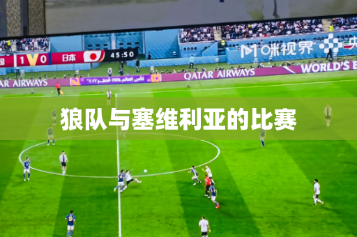 狼队与塞维利亚的比赛