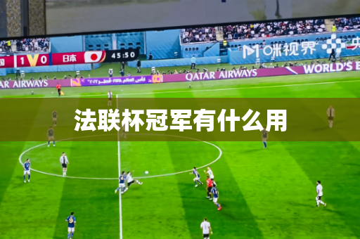 法联杯冠军有什么用 法联杯冠军有什么用