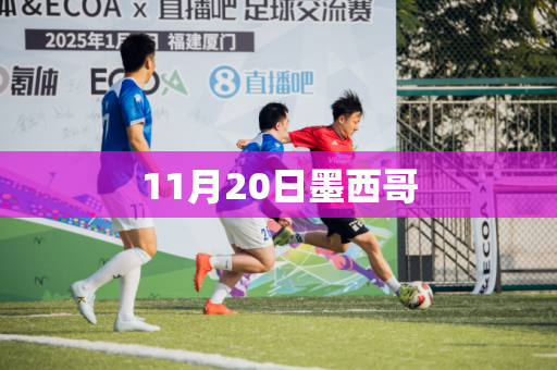 11月20日墨西哥 11月20日墨西哥