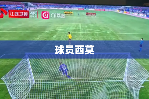 球员西莫 球员西莫