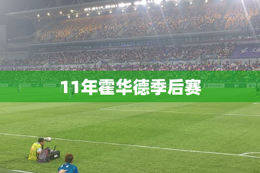 11年霍华德季后赛
