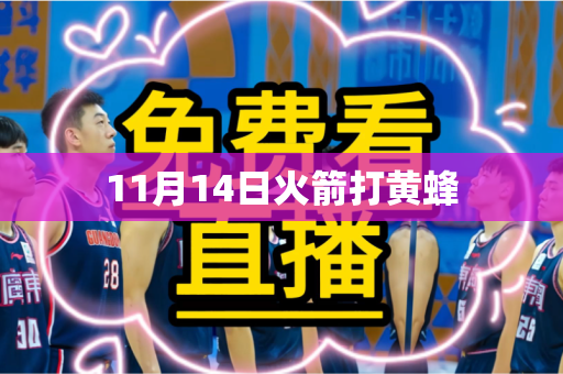 11月14日火箭打黄蜂