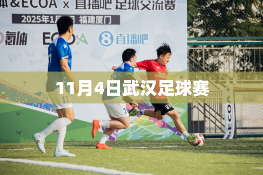11月4日武汉足球赛