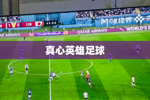 真心英雄足球 真心英雄足球