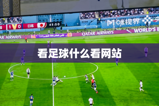 看足球什么看网站