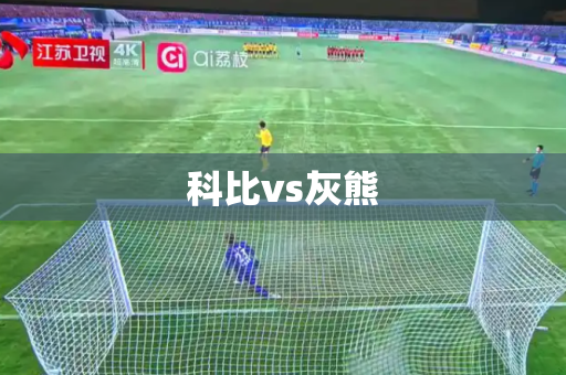 科比vs灰熊