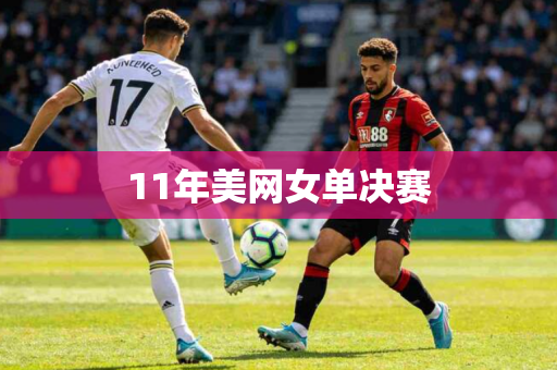 11年美网女单决赛